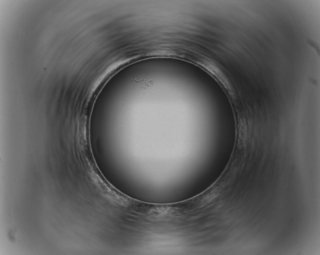 X0000103451000200809191743