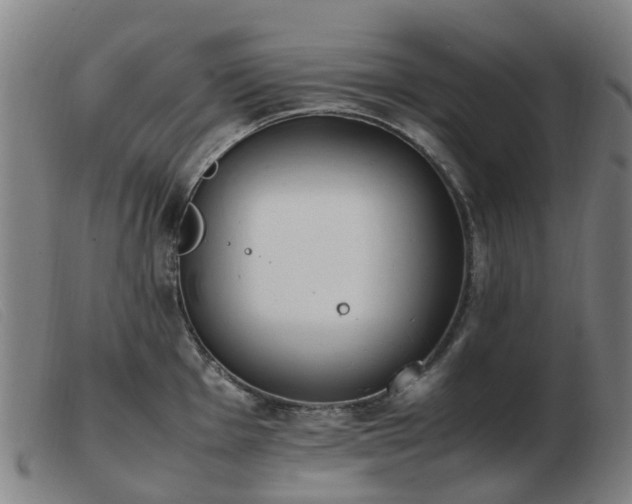 X0000103451001200809191743