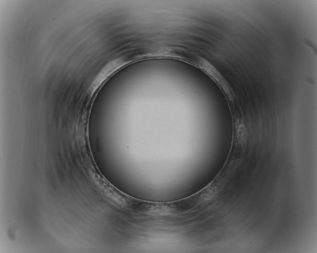 X0000103451002200809191743