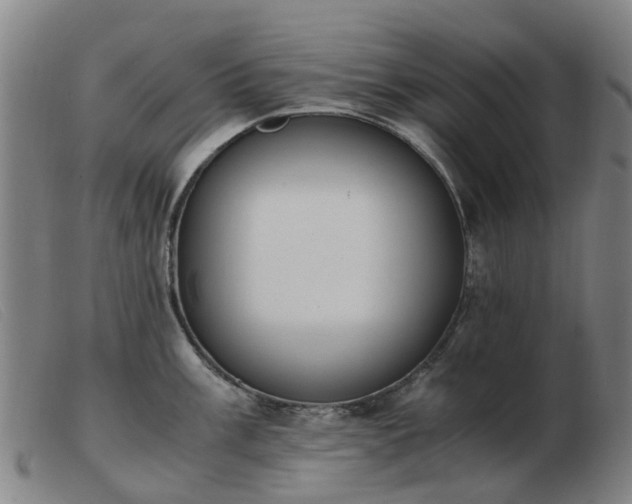 X0000103451003200809191743