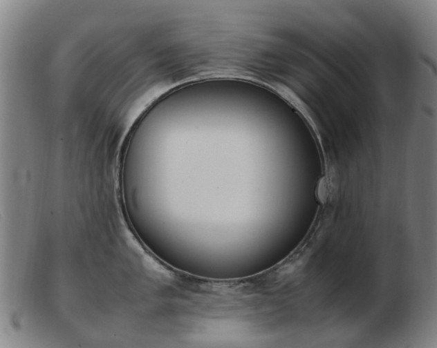 X0000103451005200809191743