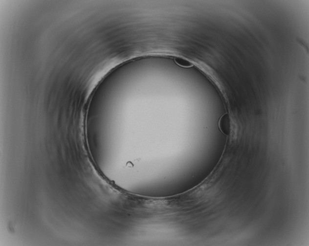 X0000103451006200809191743
