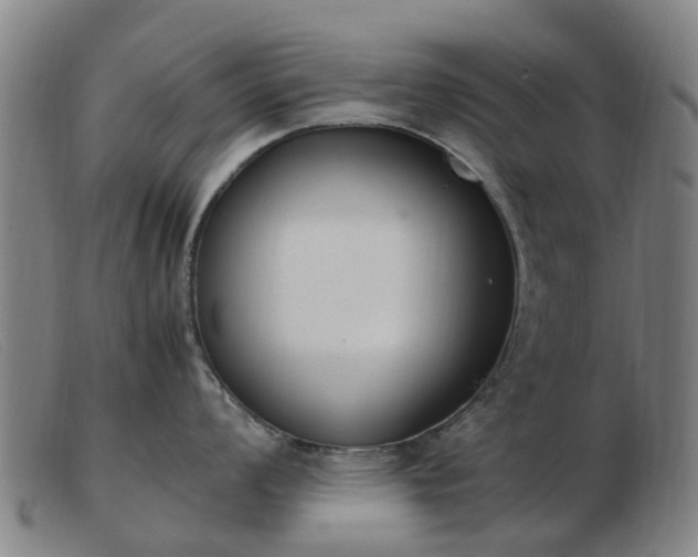 X0000103451008200809191743