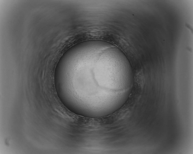 X0000103451009200809191742