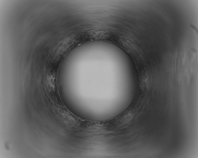 X0000103451010200809191742