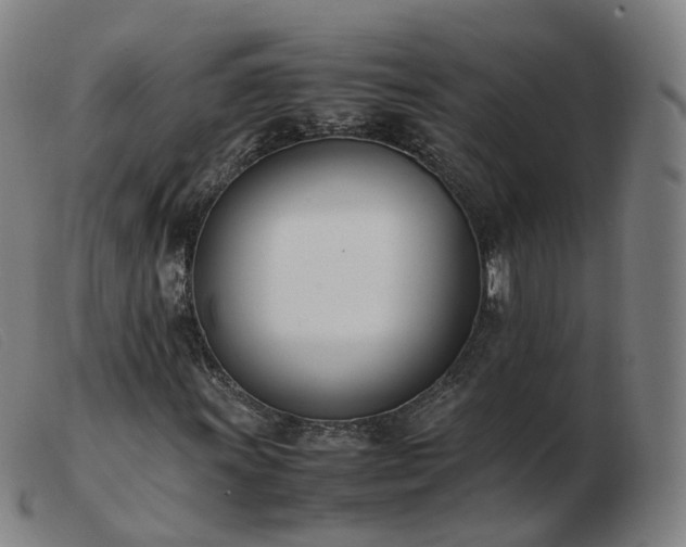 X0000103451011200809191742