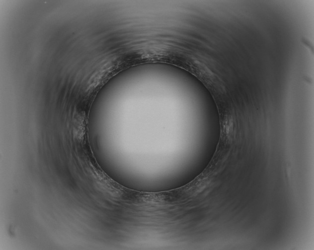 X0000103451012200809191743
