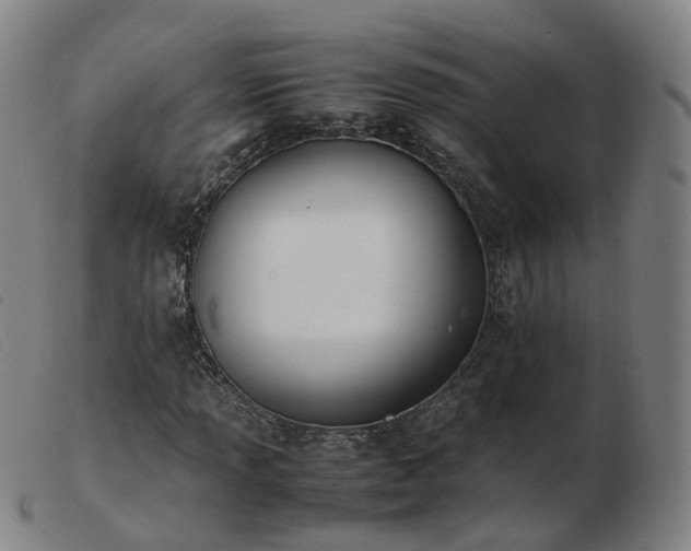 X0000103451013200809191743
