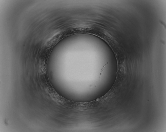 X0000103451014200809191743