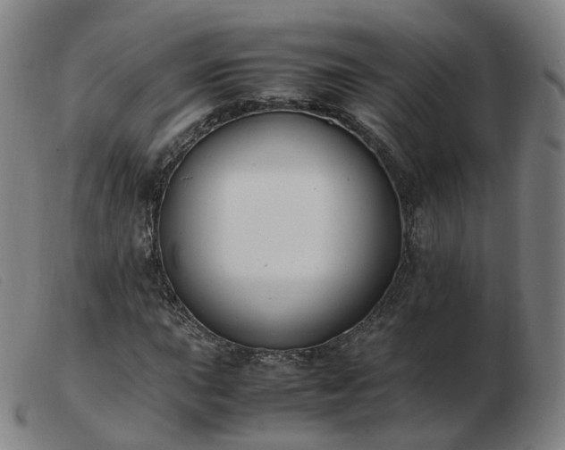 X0000103451015200809191743