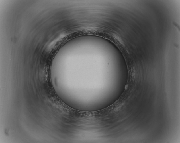 X0000103451016200809191743
