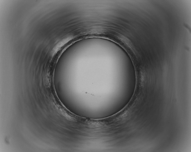 X0000103451018200809191743