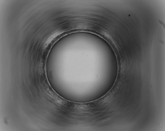 X0000103451019200809191743
