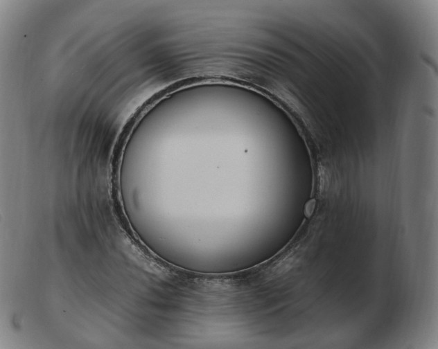 X0000103451020200809191743