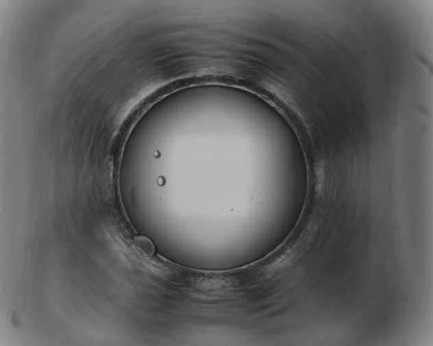 X0000103451021200809191743