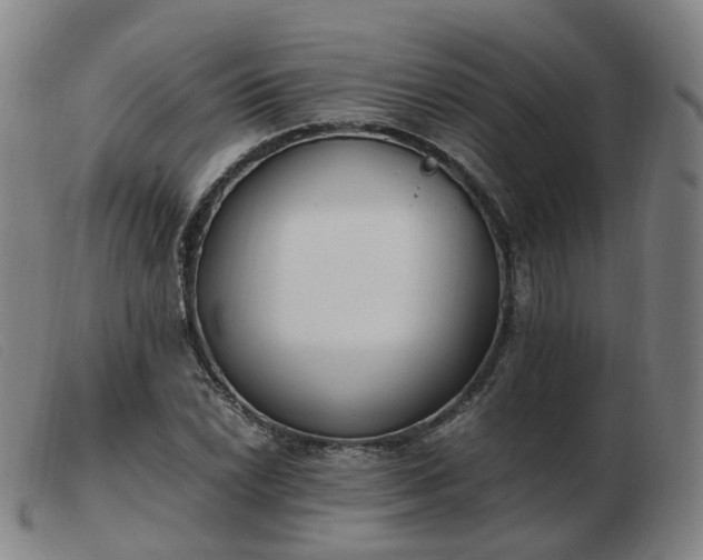 X0000103451022200809191743