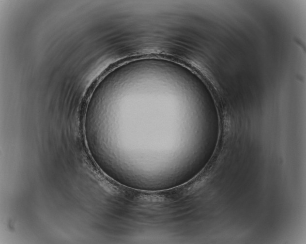 X0000103451023200809191743