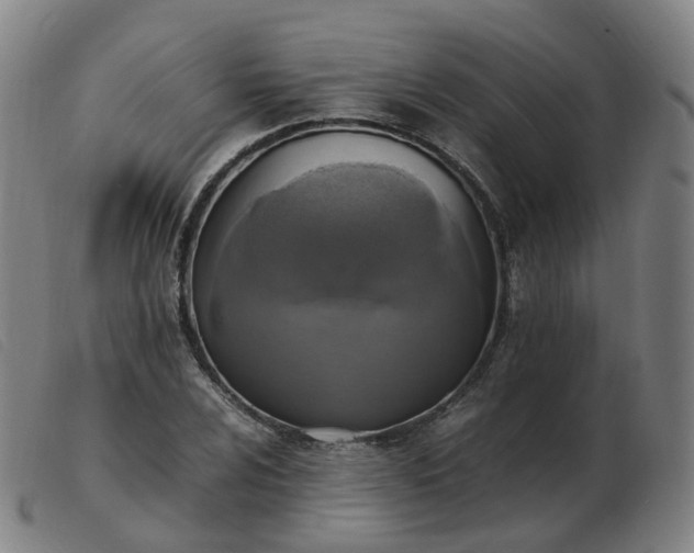 X0000103451024200809191743