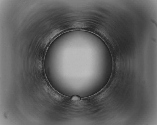 X0000103451025200809191743
