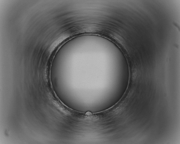 X0000103451026200809191743