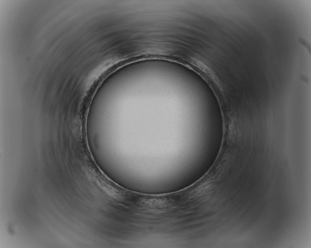 X0000103451027200809191743