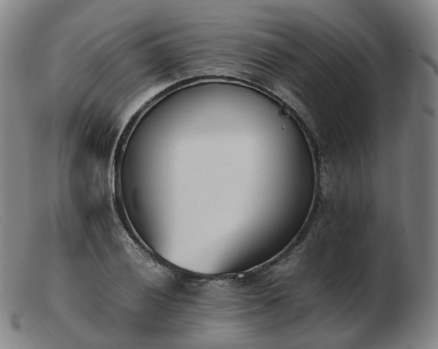 X0000103451028200809191743