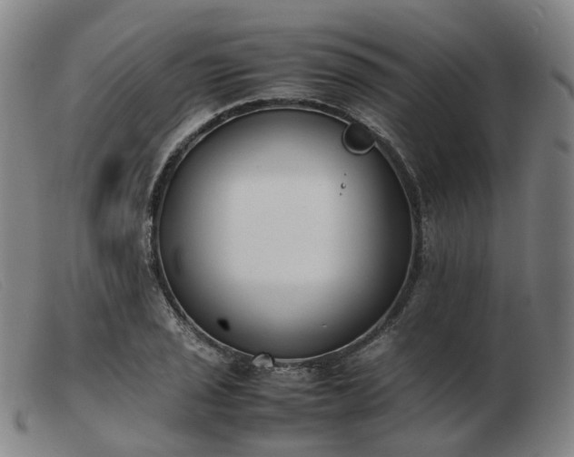 X0000103451029200809191743