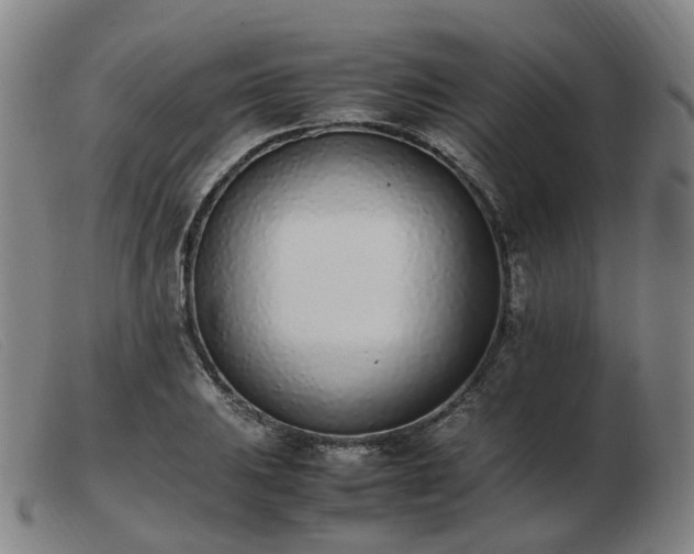 X0000103451031200809191743