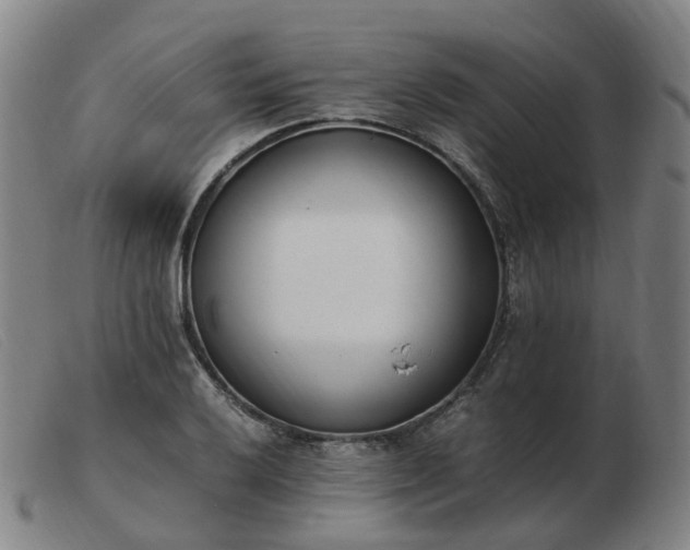 X0000103451032200809191743