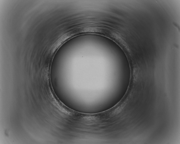 X0000103451033200809191743