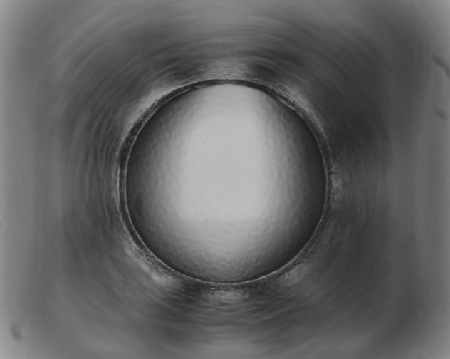 X0000103451035200809191743