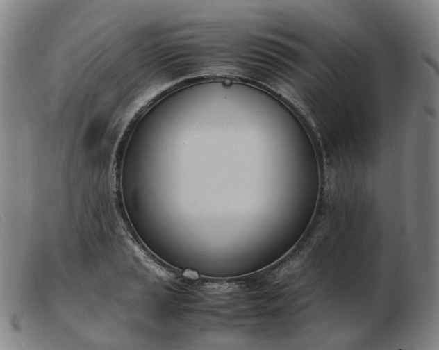 X0000103451037200809191743
