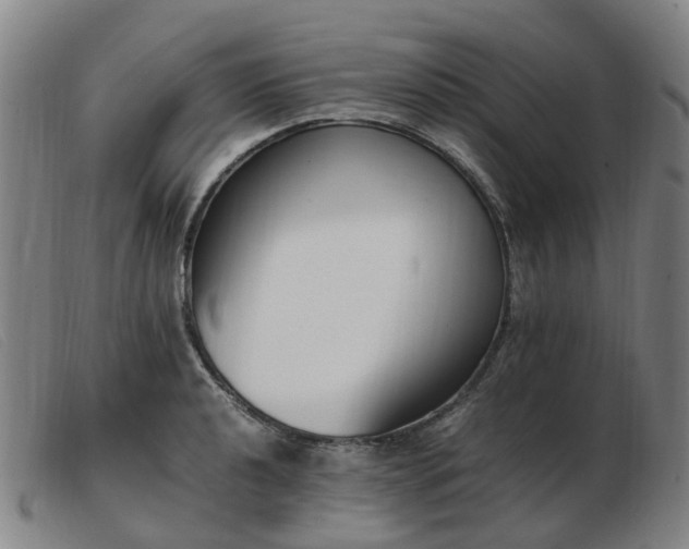X0000103451040200809191743
