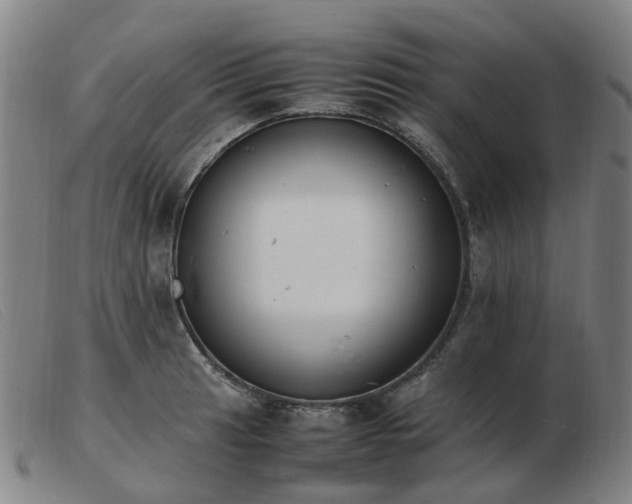 X0000103451041200809191743