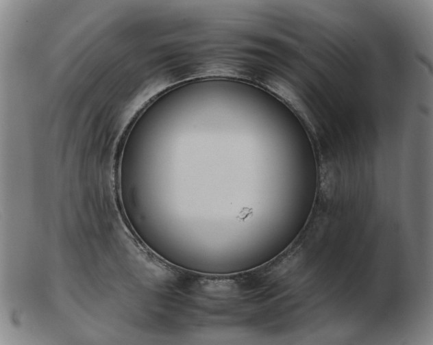 X0000103451043200809191743