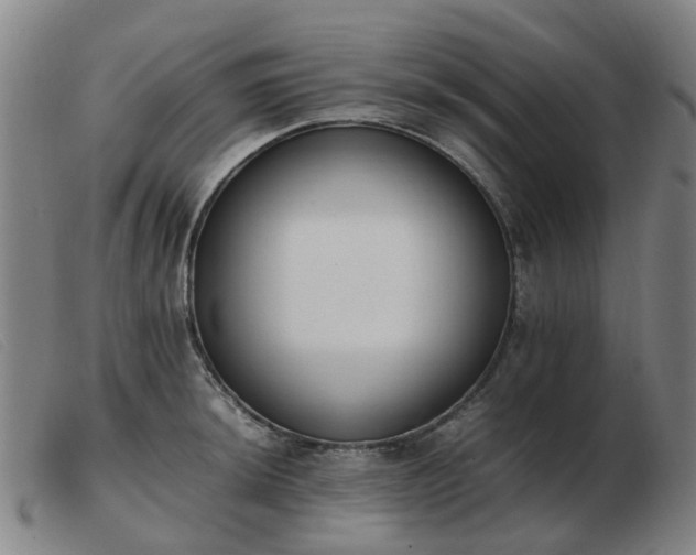 X0000103451044200809191743