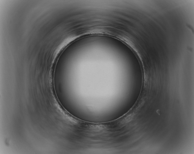 X0000103451045200809191743
