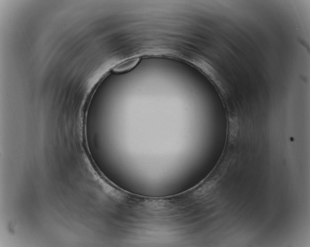 X0000103451046200809191743