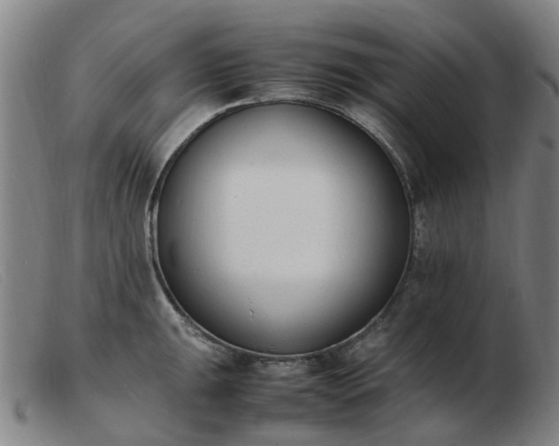X0000103451047200809191743