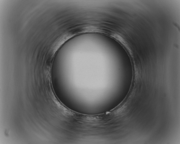 X0000103451049200809191743