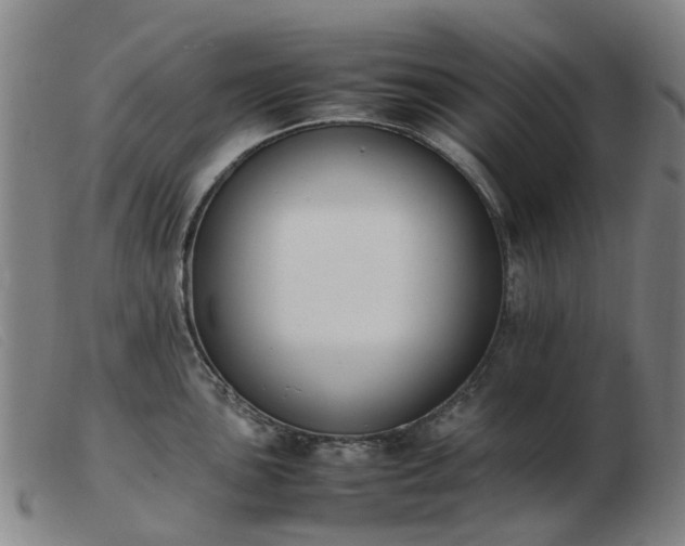 X0000103451051200809191743