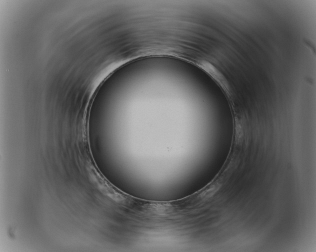 X0000103451052200809191743