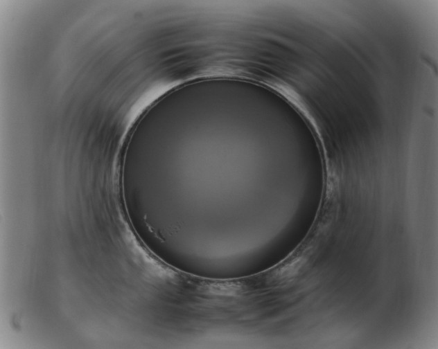 X0000103451053200809191743