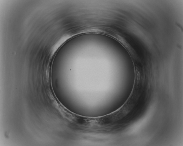 X0000103451054200809191743