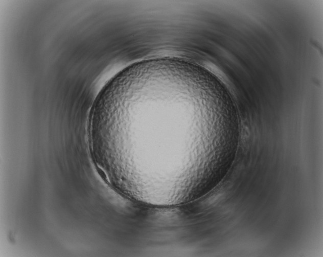 X0000103451055200809191743