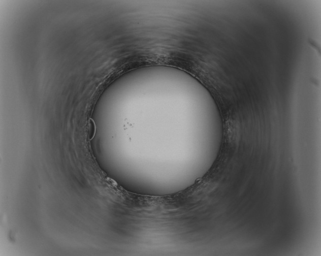 X0000103451057200809191742