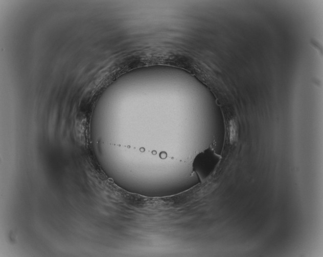 X0000103451059200809191742