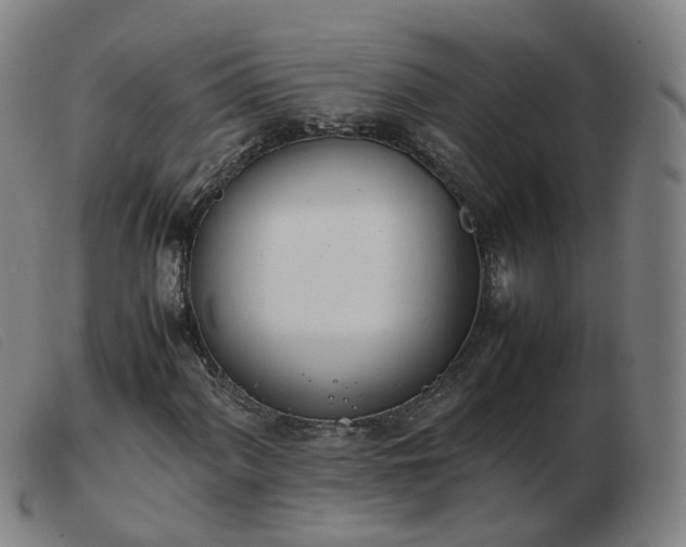 X0000103451060200809191742