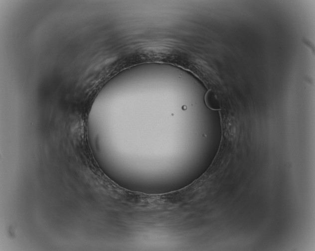 X0000103451061200809191742