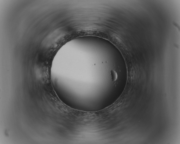X0000103451062200809191742